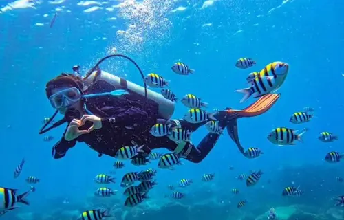 Lakshadweep adventure activities Booking